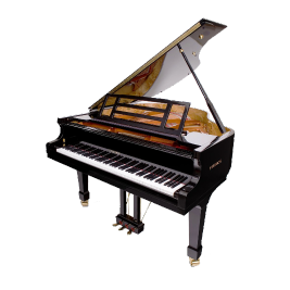 ROLAND RP-501R