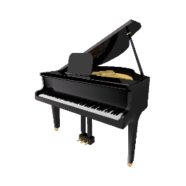 ROLAND RP-501R